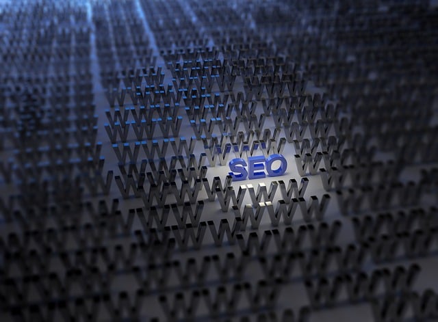 An image of the inscription "SEO" illuminated by a spotlight | pixabay - חברת קידום אתרים